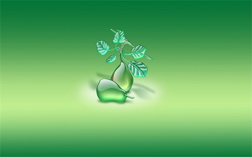中国有钻石,故宫博物院珍宝馆两件钻石都是清朝的珍宝